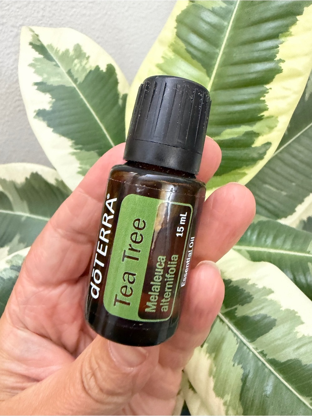 New Doterra Tea Tree Essential Oil 15ml - Unopened
